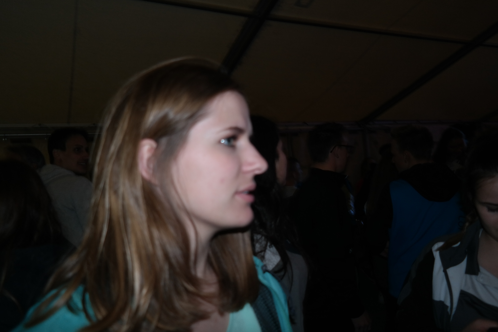 Bild 1 (330)